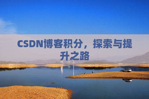 CSDN博客积分，探索与提升之路